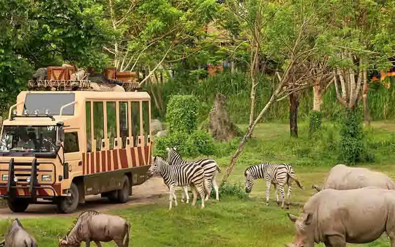 jungle hopper legend packages jungle hopper legend packages